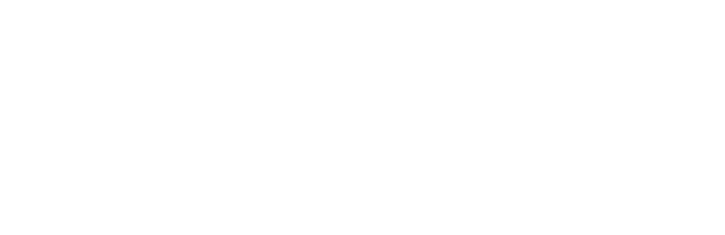 کاریزماتیک
